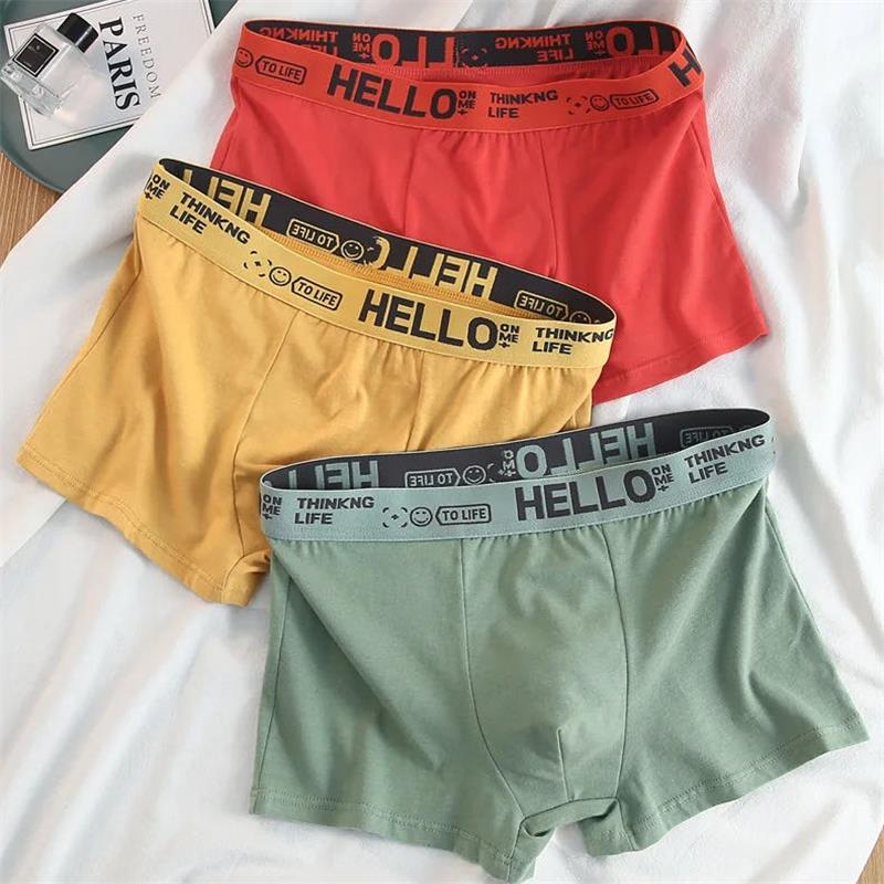 10Pieces/ Men's Underwear Men  - Boxer Brief Pack Cotton ulasan dan harga