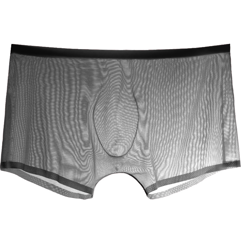 Male Boxer Men Briefs Sheer un - Trunk Breathable Men ulasan dan harga